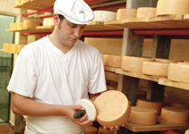 04_head_00 Caring for ripening cheese; Foto: Herrmannsdorfer