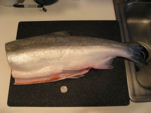 -10080 Whole salmon